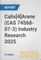 Calix[4]Arene (CAS 74568-07-3) Industry Research 2025: Global and Regional Market Trends 2019-2024 and Forecast to 2029 - Product Image